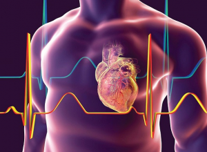 Tổng hợp những dấu hiệu bệnh tim mà bạn không thể bỏ qua